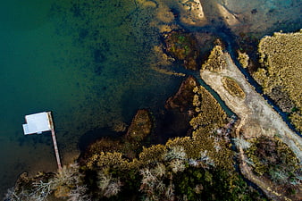 Aerial View of Lake Shore with Wooden Dock and Forest