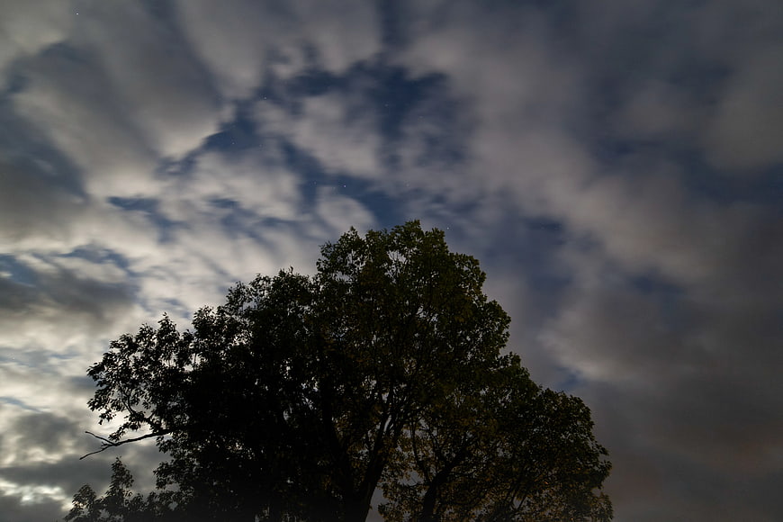 Silhouette of Large Tree Against Dramatic Cloudy Sky