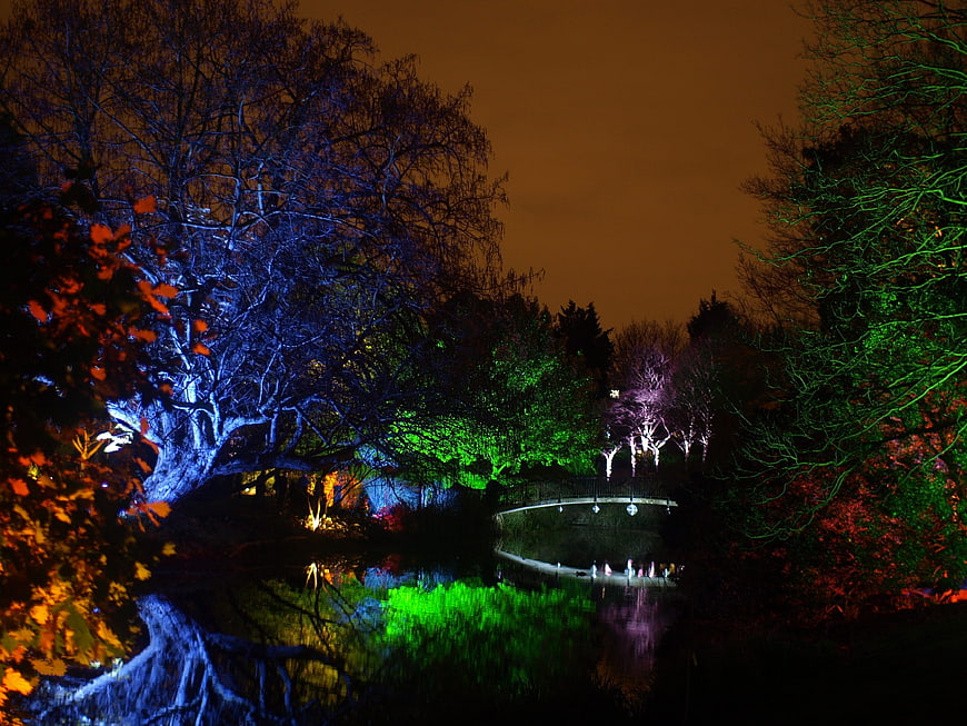 Colorful Light Festival in Park at Night with Reflections