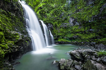 Serene Waterfall Cascading into Mossy Pool in Lush Forest