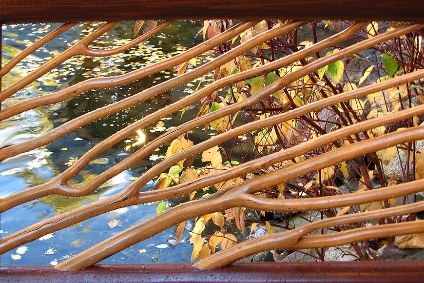 Rustic metal railing over autumn pond with fallen leaves