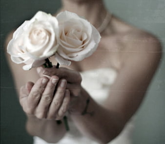 Bride Holding White Roses Close Up