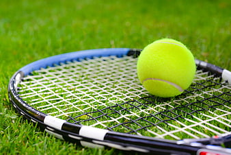 Tennis racket and ball on green grass