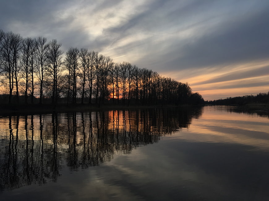 Serene Sunset Reflection on River with Silhouetted Trees