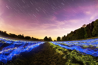 Long Exposure Star Trails Over Field with Blue Light Painting