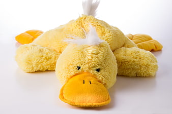 Yellow Plush Duck Lying Down on White Background