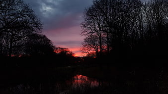 Dramatic sunset silhouette of bare trees over a dark river