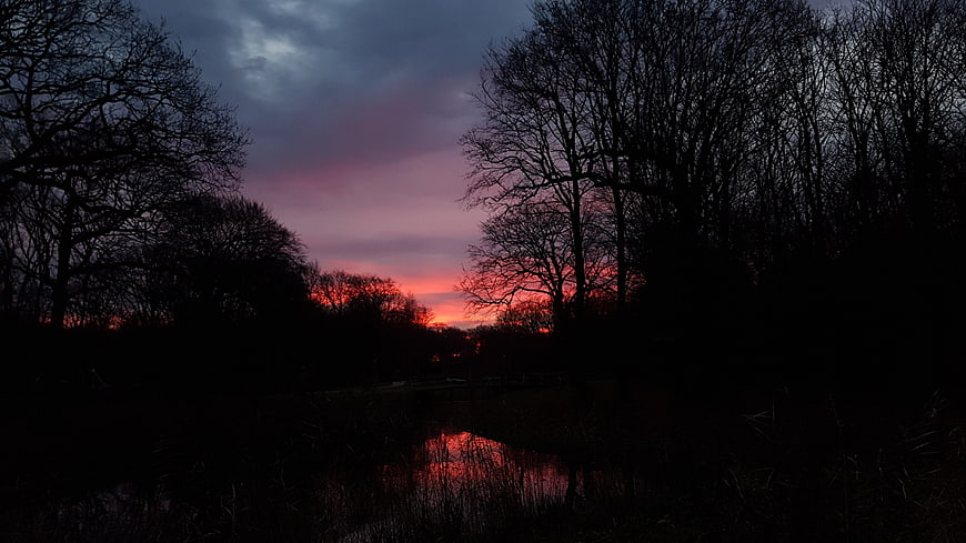 Dramatic sunset silhouette of bare trees over a dark river