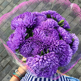 Vibrant purple aster bouquet wrapped in pink paper