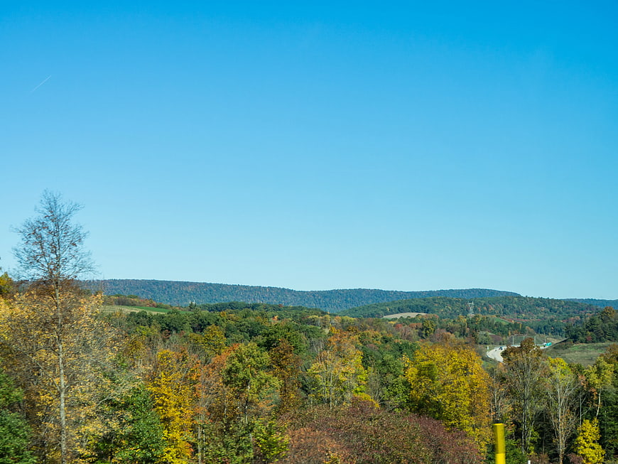 Autumn Forest Landscape with Rolling Hills and Blue Sky