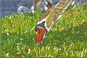 Artistic painting of a swan grazing in green grass