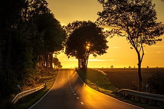 Golden sunset on empty rural road with tree silhouettes