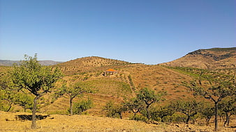 Rural landscape with small house on dry hillside