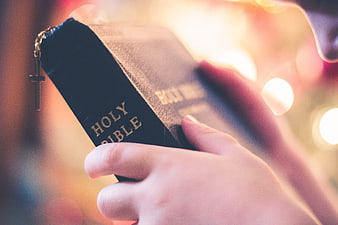 Hands holding Holy Bible with cross bookmark