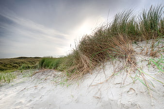 Coastal sand dunes with marram grass and overcast sky