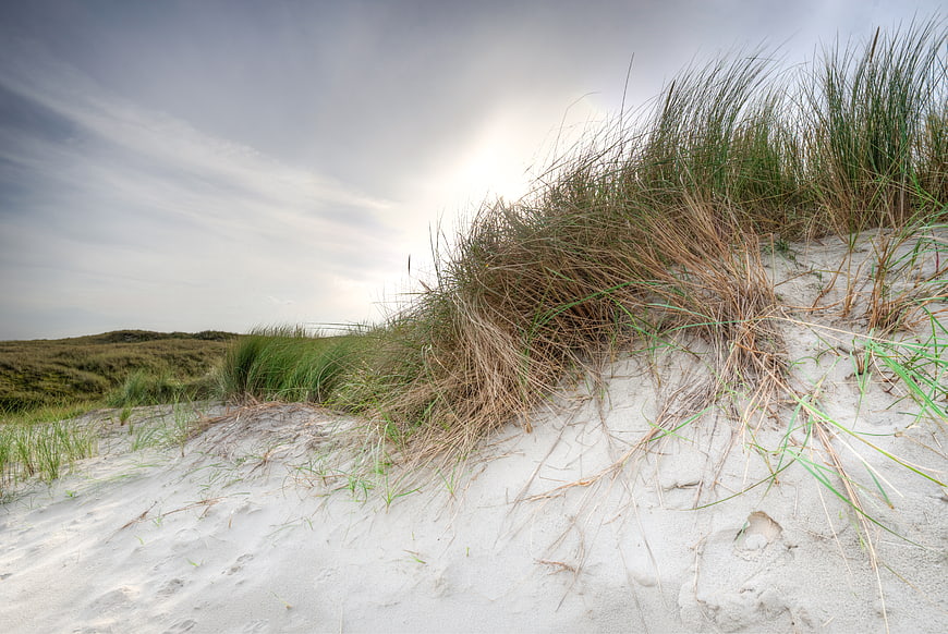 Coastal sand dunes with marram grass and overcast sky