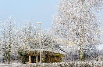 Frosty Winter Scene with Wooden Shelter and Icy Trees