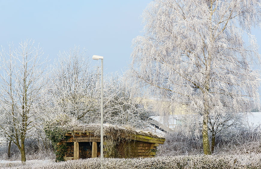 Frosty Winter Scene with Wooden Shelter and Icy Trees