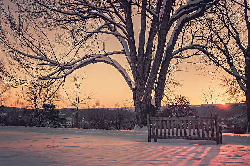 Snowy Park Bench at Sunset with Bare Trees