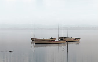 Moored boats in misty lake with swimming duck