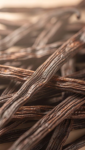 Close-up of dried vanilla beans with rich texture