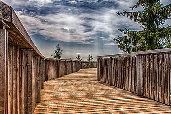 Dramatic wooden boardwalk path leading into a misty forest landscape