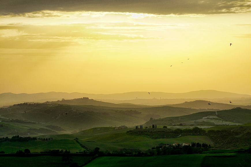 Golden Sunset Over Rolling Tuscan Hills with Birds