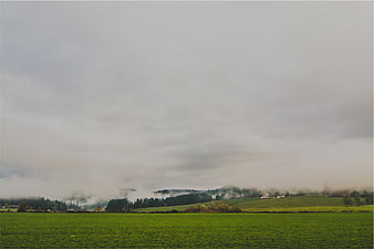 Misty Green Countryside Landscape with Rolling Hills