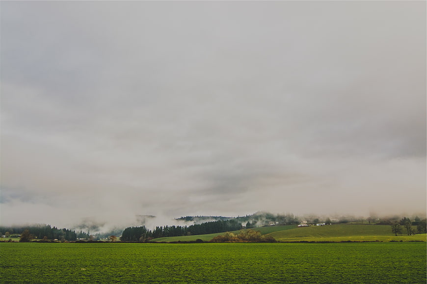 Misty Green Countryside Landscape with Rolling Hills