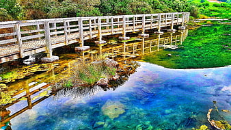 Wooden Bridge Over Vibrant Blue and Green Waters