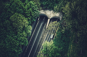 Aerial View of Car Driving Through Forest Tunnel