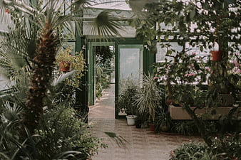 Lush greenhouse interior with tropical plants and green doors