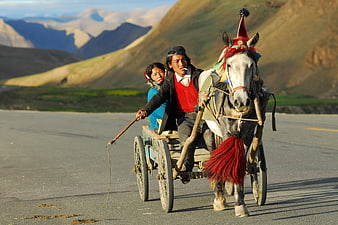 Couple Riding Horse-Drawn Cart on Mountain Road