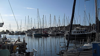 Sailboats docked in a harbor with masts against blue sky