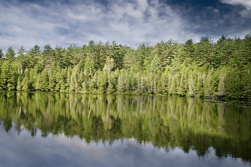 Serene Lake Reflection of Green Forest and Blue Sky