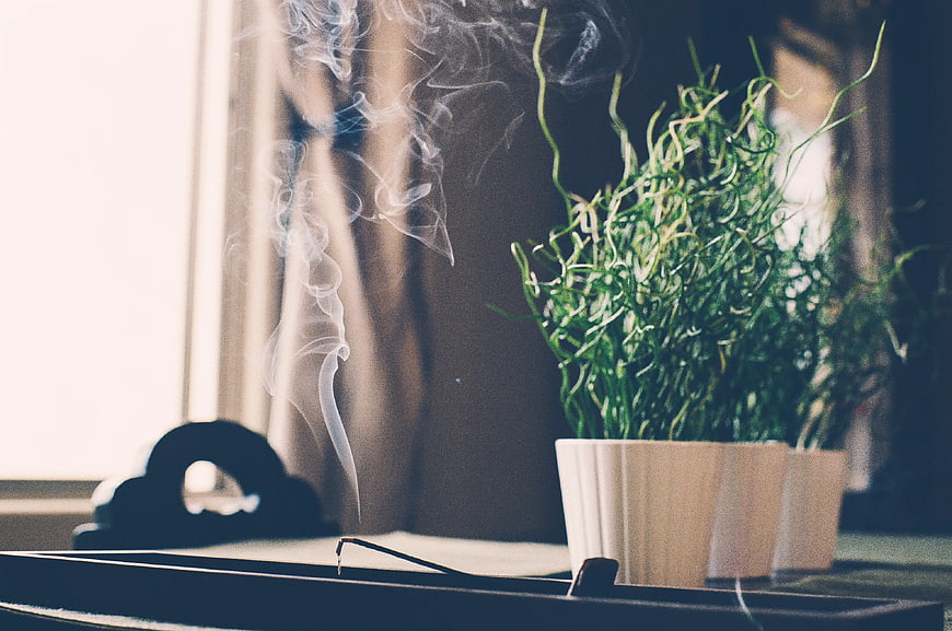 Smoking incense stick and green plant on wooden tray