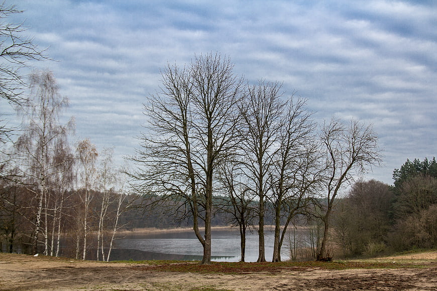 Serene Lake Landscape with Bare Trees and Cloudy Sky