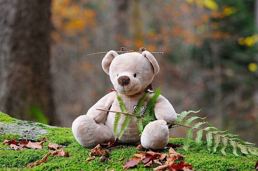 Cute teddy bear sitting on mossy log in autumn forest