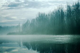 Misty Winter River Landscape With Bare Trees And Reflections