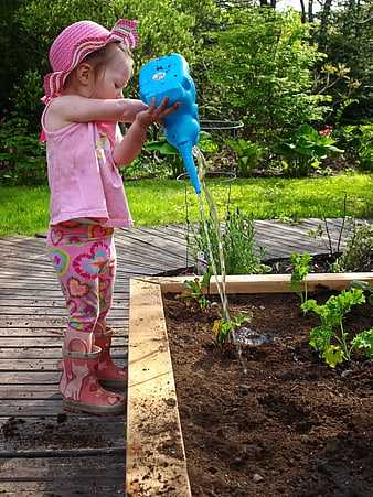 Toddler Girl Watering Garden Plants in Raised Bed