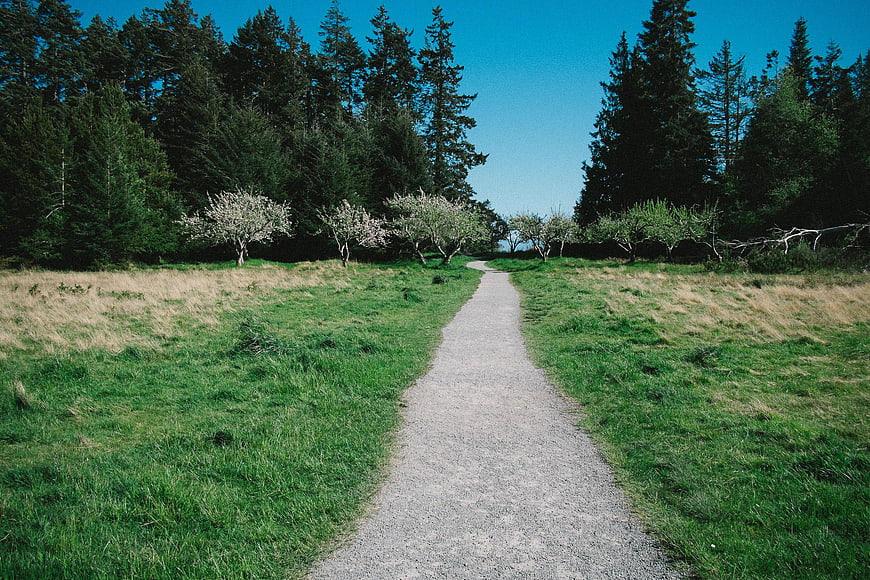 Gravel Path Through Green Meadow with Forest and Blue Sky