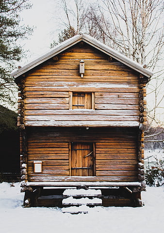 Rustic wooden cabin in snowy winter forest landscape