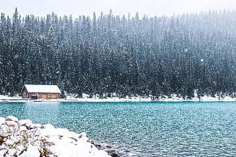Snowy Lake Louise Cabin in Winter Landscape