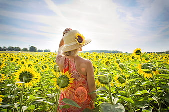 Woman in straw hat standing in a vast sunflower field