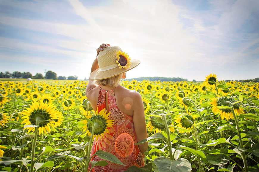 Woman in straw hat standing in a vast sunflower field