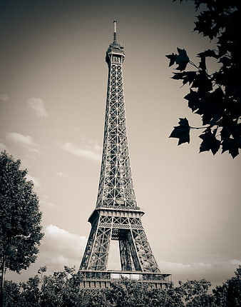 Eiffel Tower in Paris framed by tree branches against a cloudy sky