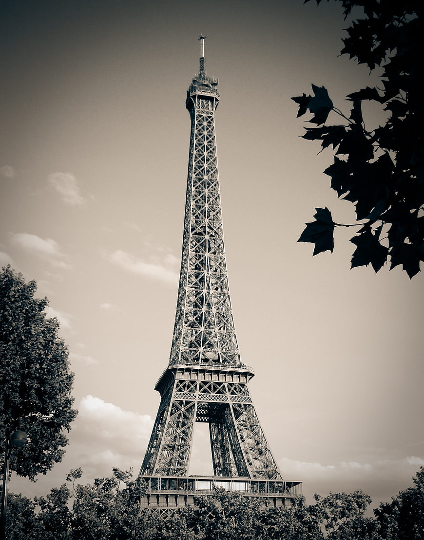 Eiffel Tower in Paris framed by tree branches against a cloudy sky