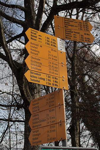 Swiss Hiking Trail Signpost in Forest