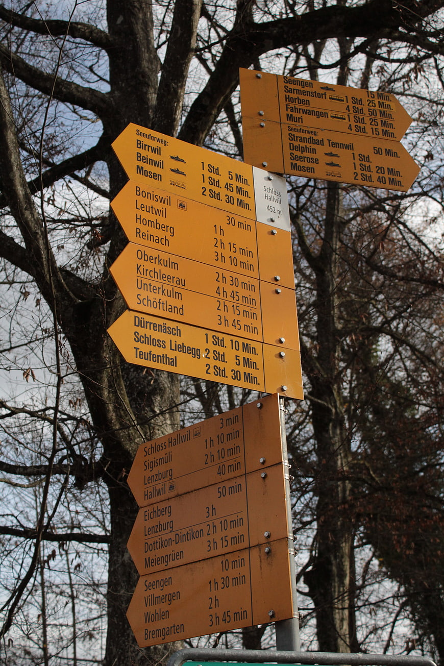 Swiss Hiking Trail Signpost in Forest
