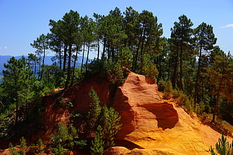 Red Ochre Cliffs and Pine Trees in Roussillon, France
